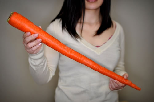 WARNING: When I said you can do whatever you want with a carrot, I was referring to food. Please do not play hide the carrot. It may result in harm to you physical health and your reputation.